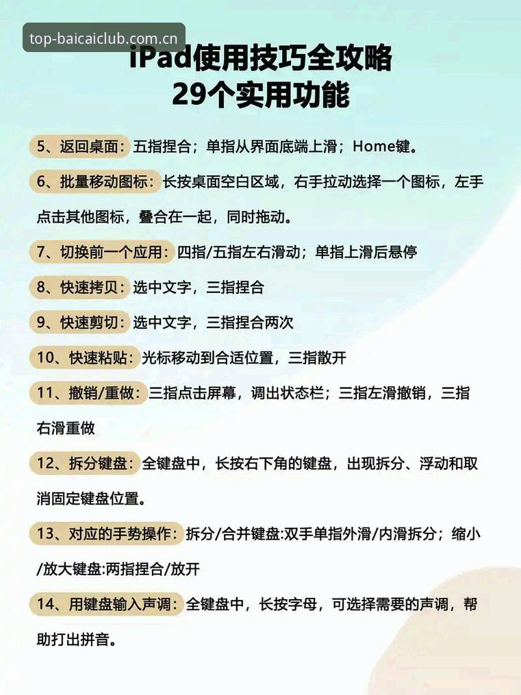 冠军白菜网平台使用指南 冠军白菜平台使用指南详解:从入门到精通