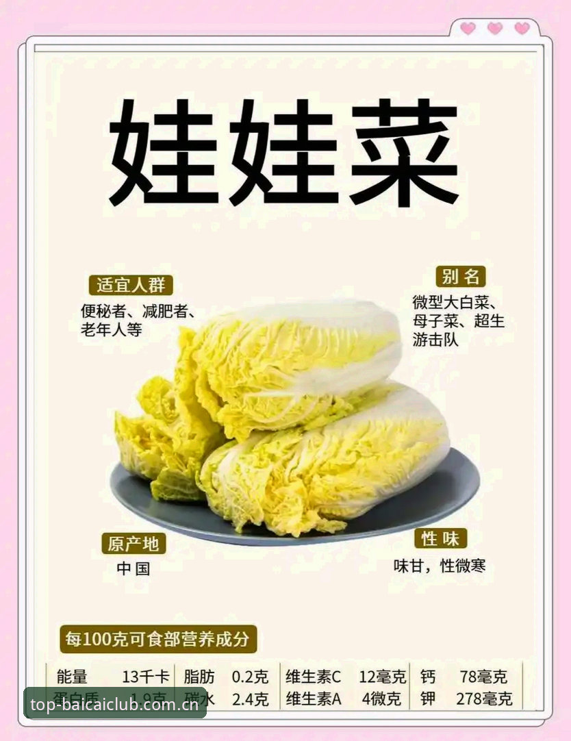 冠军白菜网品质服务评测哪个好 冠军白菜平台品质服务评测选择指南:从下载到实战的完整攻略